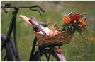 CykelPicnic_A.jpg